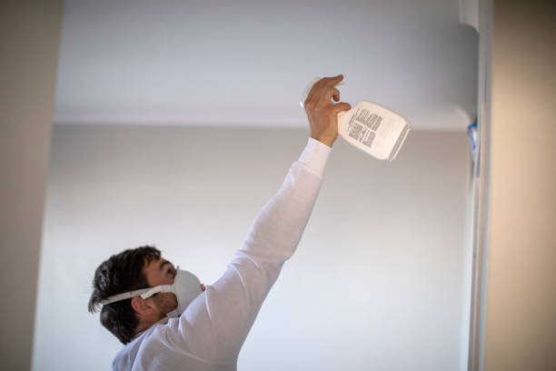Best Affordable Mold Removal  in Scotchtown, NY