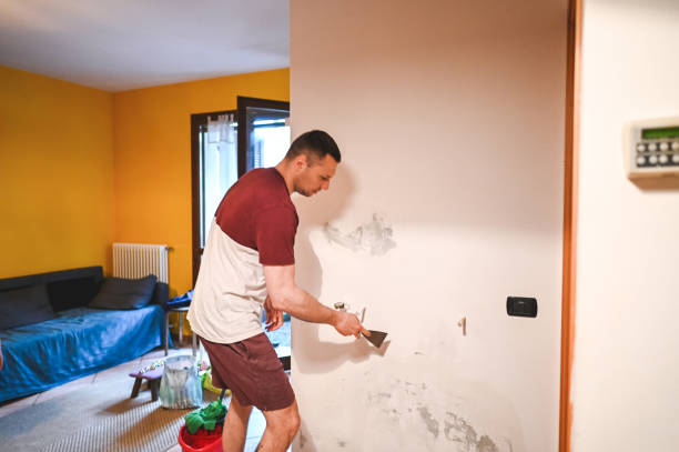 Best Residential Mold Removal  in Scotchtown, NY